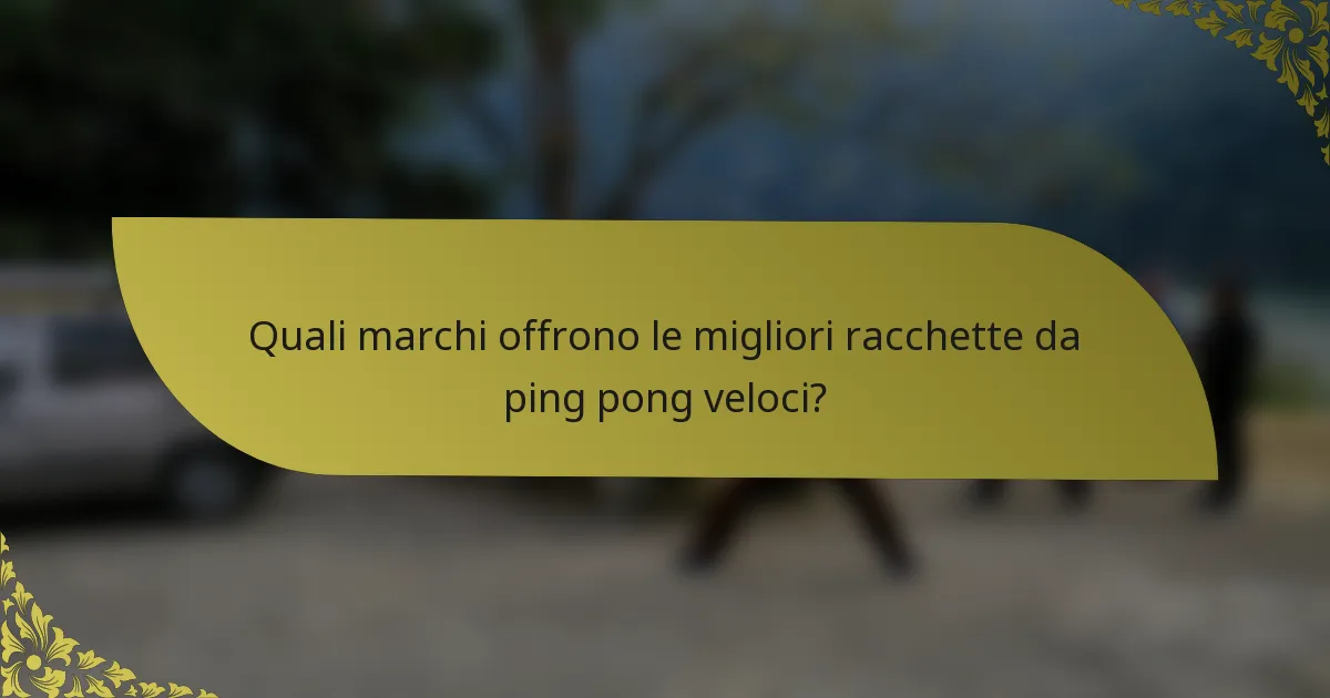 Quali marchi offrono le migliori racchette da ping pong veloci?