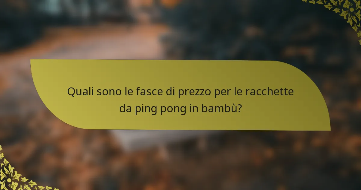 Quali sono le fasce di prezzo per le racchette da ping pong in bambù?